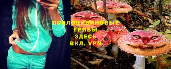 твердый Алексеевка